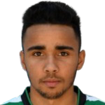  萊安德羅·安德拉德